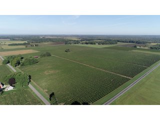 Van Buren County, Michigan Farmland - LAND AUCTION - 300+/- ACRES SPECIALTY CROP - GRAPES AND HOPS - OFFERED IN 8 TRACTS IN VAN BUREN COUNTY, MICHIGAN